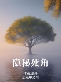 《隐秘死角》